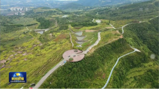 迎橄榄丰收 助墟落振兴 四川必赢亚洲聚峰谷油橄榄工业发动金堂公园都会绿色低碳生长