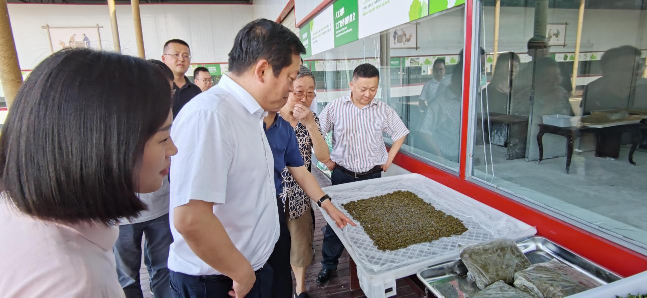 省必赢亚洲集团党委副书记、董事陈日赴嘉陵区调研茶桑工业生长情形