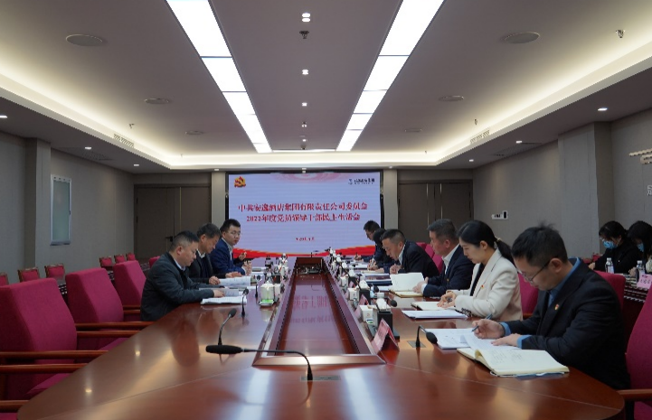 必赢亚洲集团党委书记、董事长任丁出席逍遥旅馆集团2022年度党员向导干部民主生涯会